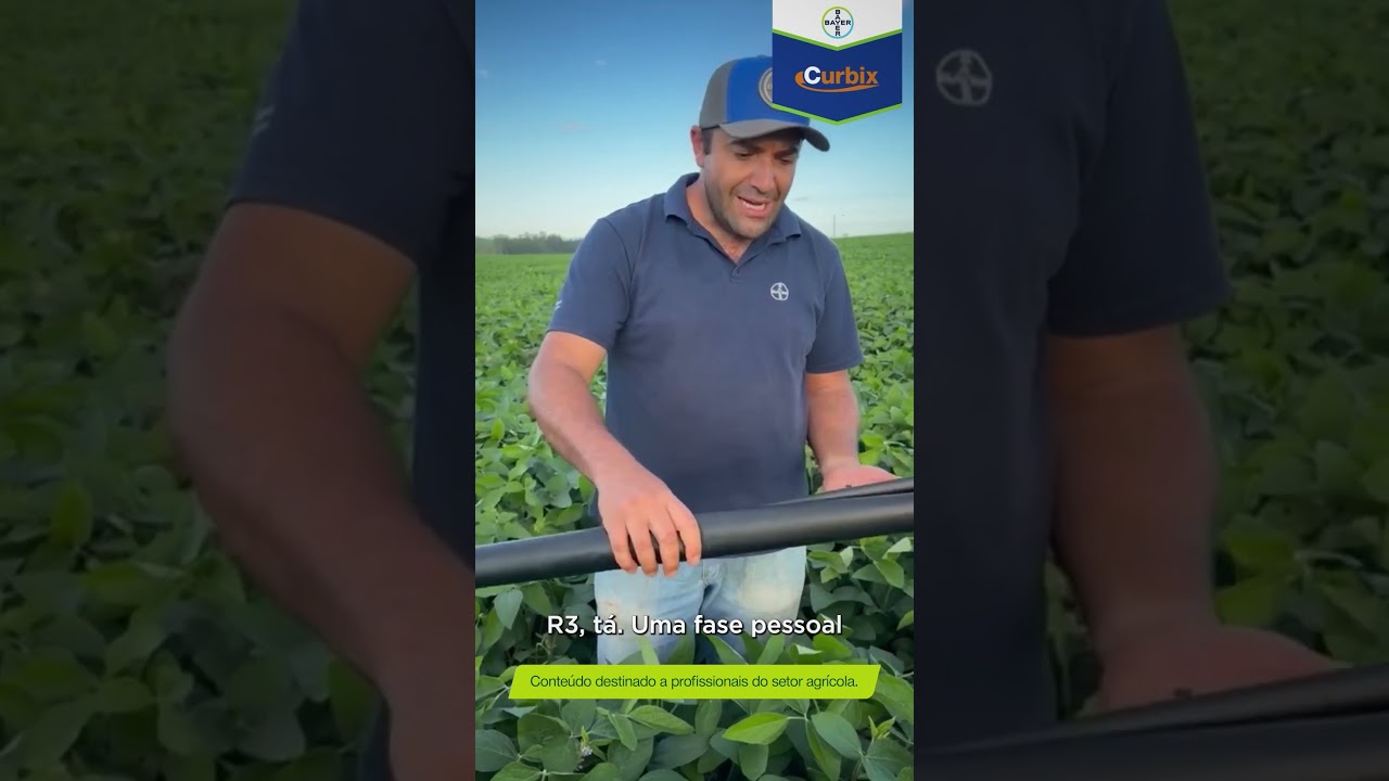 Curbix®: veja como proteger sua lavoura contra percevejos | Teaser Impulso Negócios