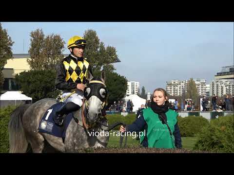 UAE President Cup - N. Porównawcza - 24.10.2021 - Wielki Dakris (Mared Al Sahra - Wielka Damira)