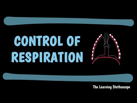 Control of Respiration Explained | Respiratory Physiology