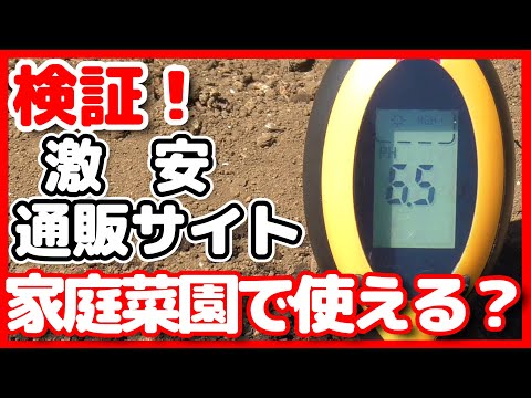 園芸 偽トウゴマ、ウコギ