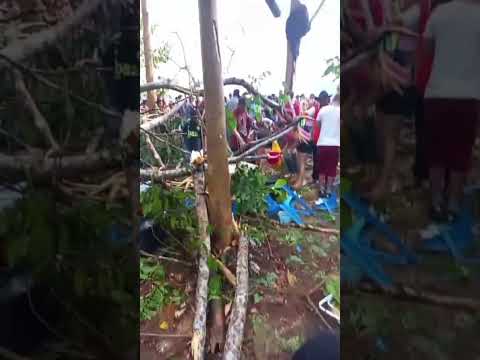 Vendável derruba árvore em Ministro Andreazza e deixa pessoas gravemente feridas