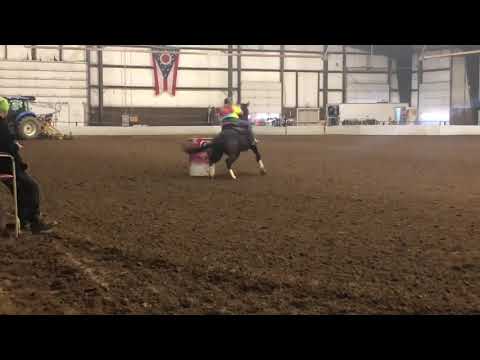 Lily Woods and Badger Half Baked Series 11/11/2018