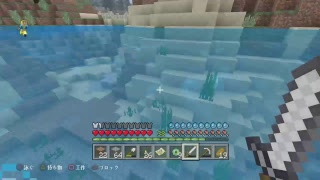 エンドラ討伐するまで止まらないマイクラ　その2