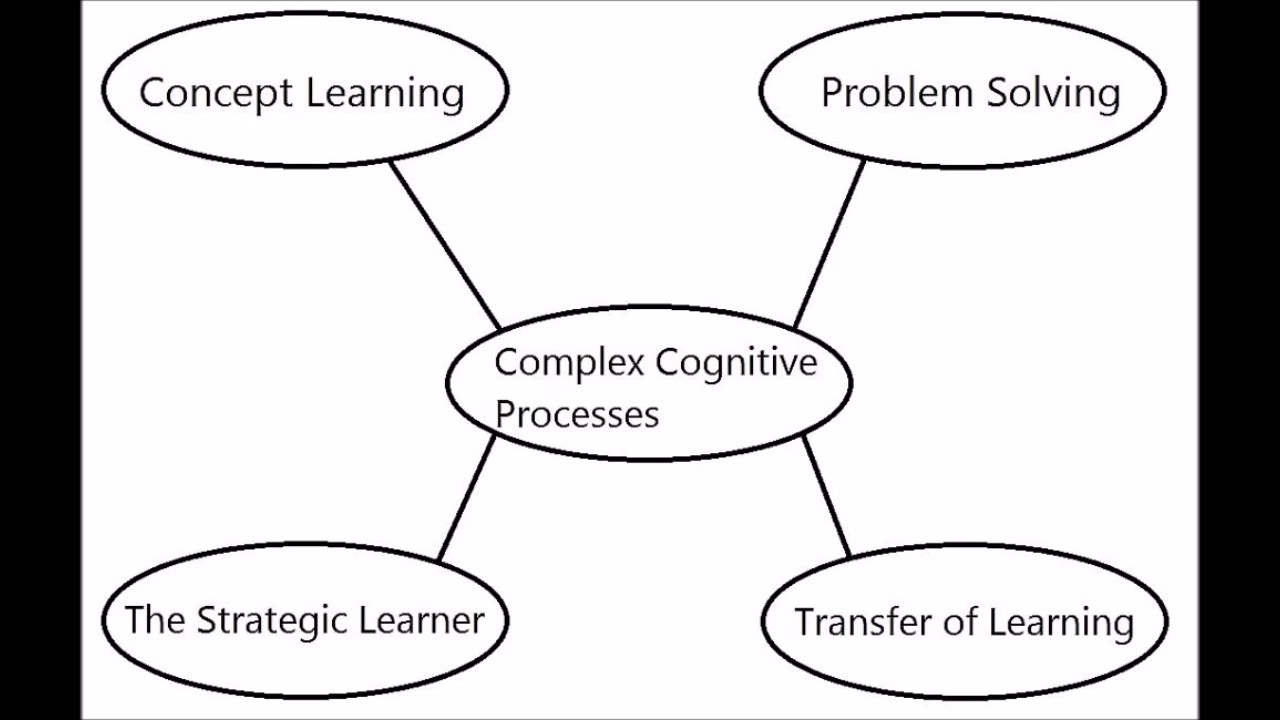 Complex Cognitive Processes