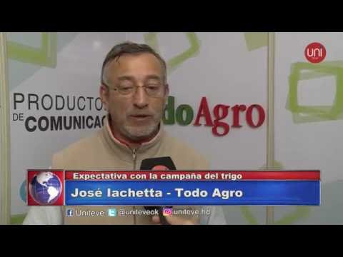 Expectativa con la campaña del trigo - José Iachetta
