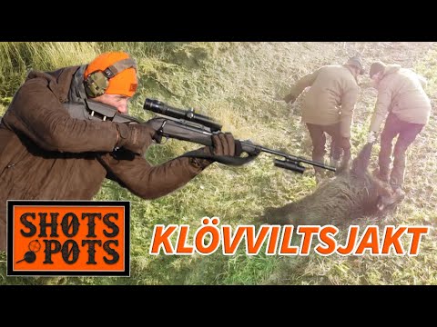 DREVJAKT PÅ KLÖVVILT - Lubbe jagar rådjur och vildsvin