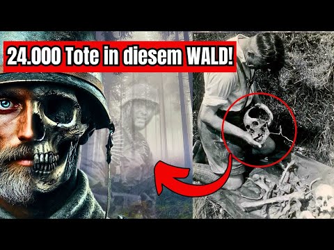 Schlacht im Hürtgenwald: Die verlustreichste Offensive der US-Armee in Deutschland