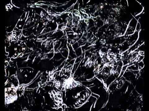 Echos film de  GUACOLDA