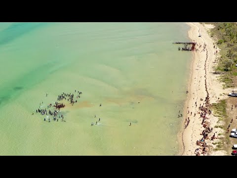 Walgarra Warrmin & Yililij Pt 2 - Mandayung - Mardayin 2019