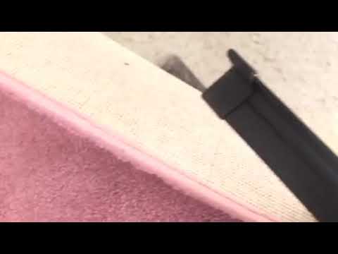 Bed Bug Under the Rug in Bradley Beach, NJ