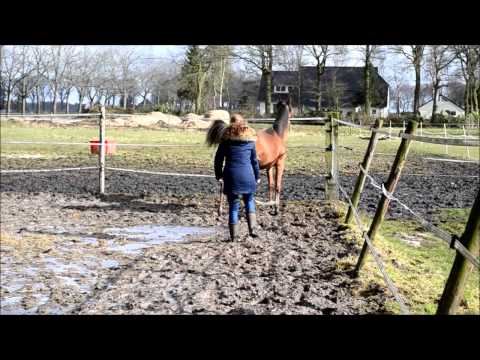 Kanyshah PKA by Kanz Albidayer