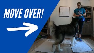 Lateral Movement for Canicross and Bikejoring Fitness