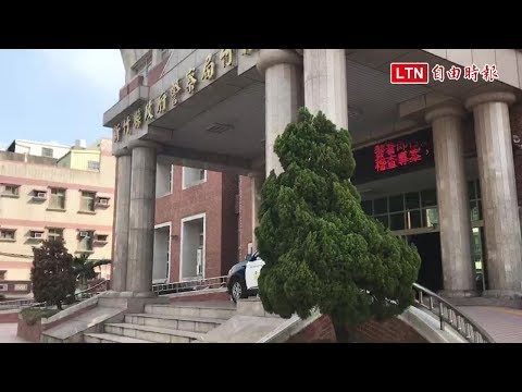 龍柏 風水