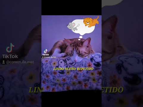 Paraíso prohibido. Paraíso idílico.