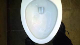 preview picture of video 'Bathroom Tour: Kohler Toilet Craddock Terry Hotel Lynchburg VA'