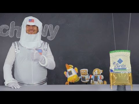 Blue Buffalo Basics Cat Food | Chewy