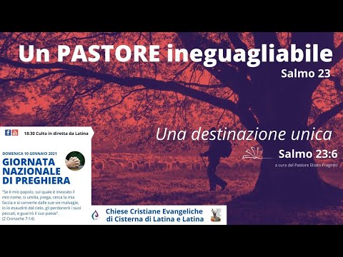 Un PASTORE ineguagliabile (Salmo 23:6) - Una destinazione unica