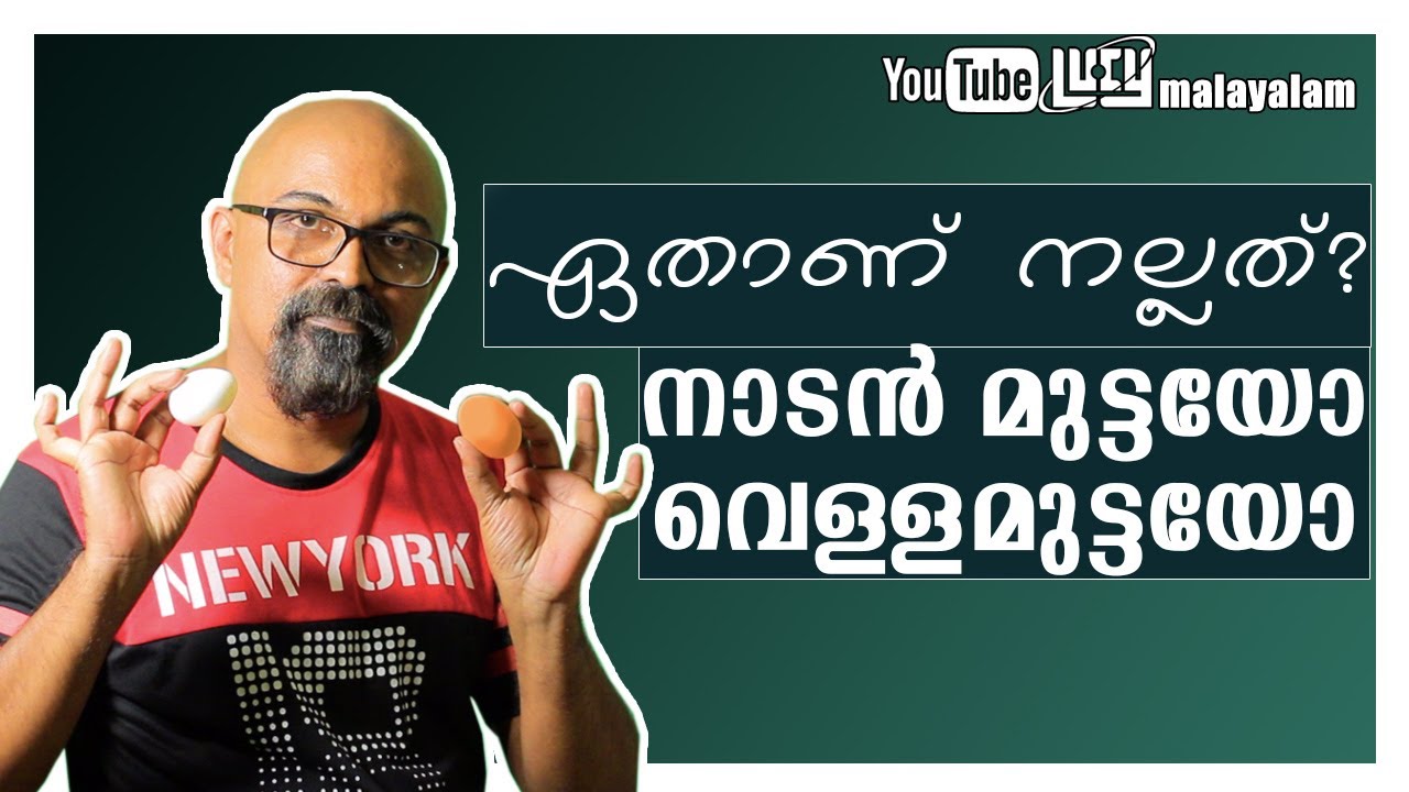 What's The Difference Between Brown Eggs and White Eggs Malayalam | Nadan Kozhi Mutta Malayalam