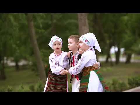 Ansamblul Zâmbetul - Troanca