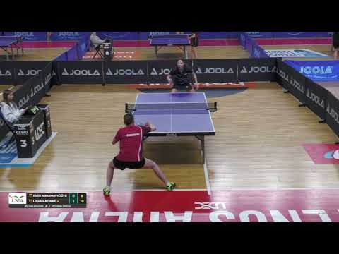 Eivilė Abramavičiūtė - Lina Martinkė