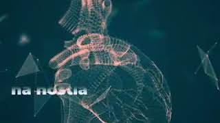 Milagres Eucarísticos