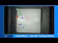 ConductVision Zebrafish Package video