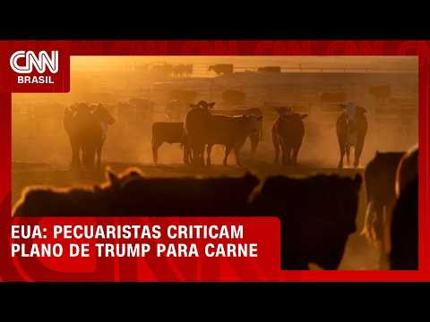 Pecuaristas dos EUA criticam plano de Trump para importação de carne | CNN AGRO NEWS