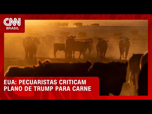 Pecuaristas dos EUA criticam plano de Trump para importação de carne | CNN AGRO NEWS