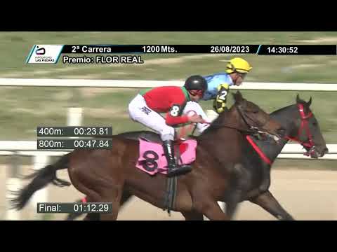 230826 c02 - LEOPARDO FEVER - HIPODROMO LAS PIEDRAS