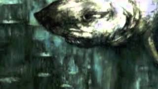 Dry the River : "Bible Belt" (album version)