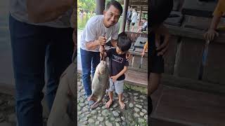 Download lagu Mancing ikan bawal RAKSASA #mancing #memancing #mancingmania #ikanraksasa mp3 Download lagu Mancing ikan bawal RAKSASA #mancing #memancing #mancingmania #ikanraksasa mp3