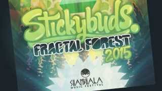 Stickybuds - Fractal Forest Mix - Shambhala 2015
