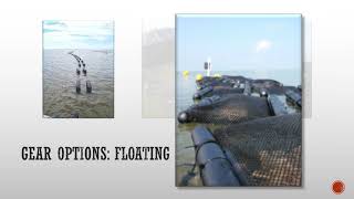 5 Oyster Farm Gear and Management