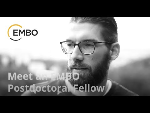 EMBO Fellow Daan Swarts: “The EMBO Fellowships gave me a large degree of freedom”