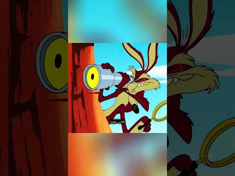 مرّ رود رانر Road Runner مباشرةً عبر جدارٍ لم يستطع كايوتي Coyote تجاوزه! 🤯🐦