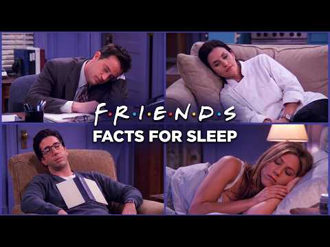 The ENTIRE Story of Friends to Fall Asleep to