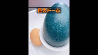 これはダチョウですか？ #animals #動物プロダクション #動物 #自然 #癒し