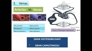 Introducción a la función cardíaca