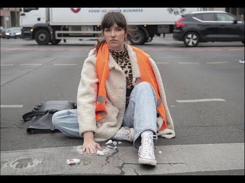 Warum Klimakleber Idioten sind