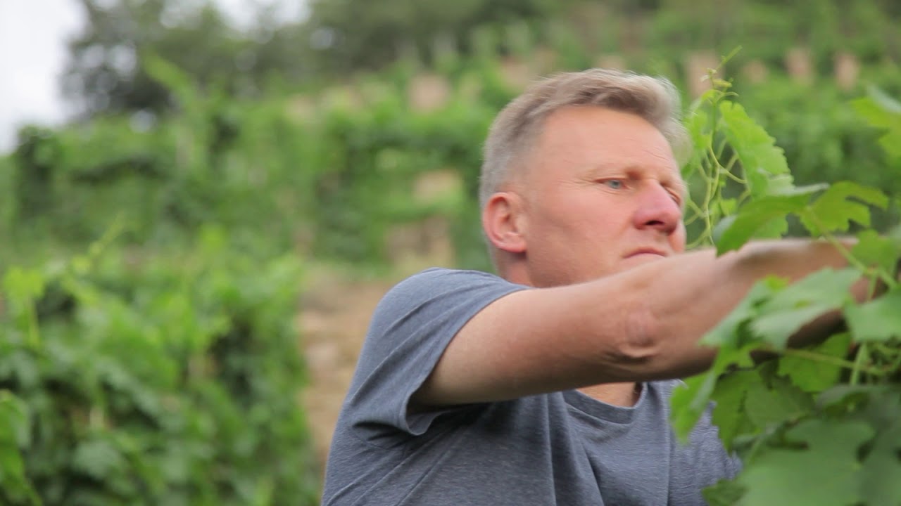 Pierre-Jean est vigneron dans le Pilat