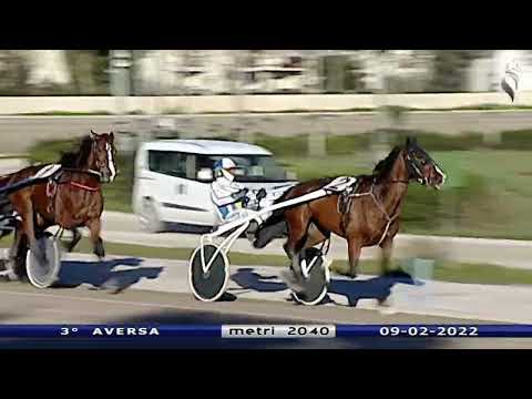 Aversa trotto 9 Febbraio 2022 - 3° Corsa