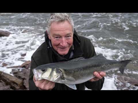 Lure fishing for bass in Kerry, south west Ireland, with Henry Gilbey and John Quinlan