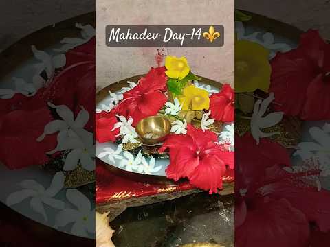 Parthiv shiv Pujan Day-14🚩🔱🙏🏻#music #love #mahadev #astha #newshort #flowers #peace#shivsayshappy😊