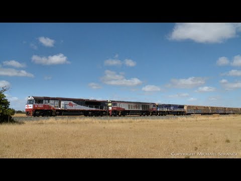 1PM9 SCT Freight Train With SCT001, CSR003, CM3302 - PoathTV Australian Railways