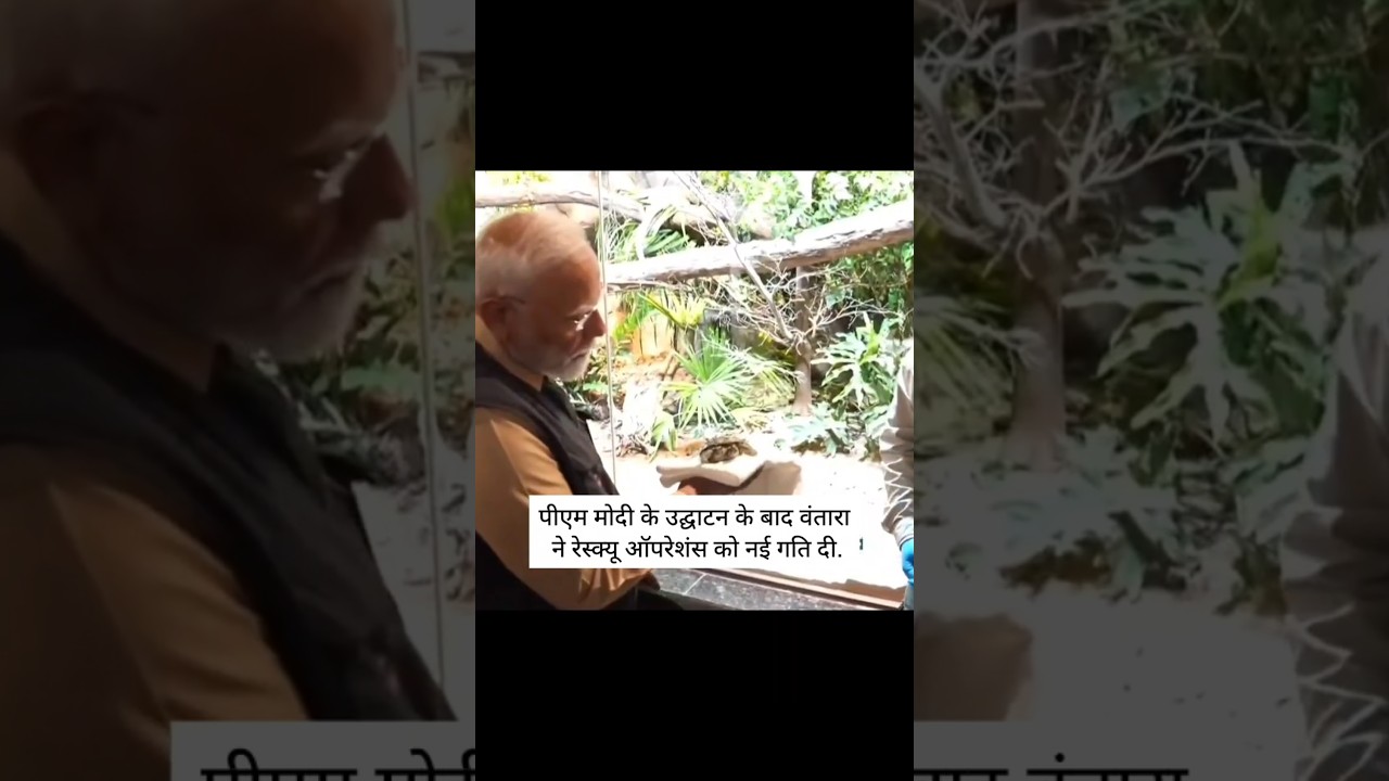 IS THIS REAL PM ?? 😫😨#Vantara #anantambani #pmmodi #shortsfeed and #Trending.