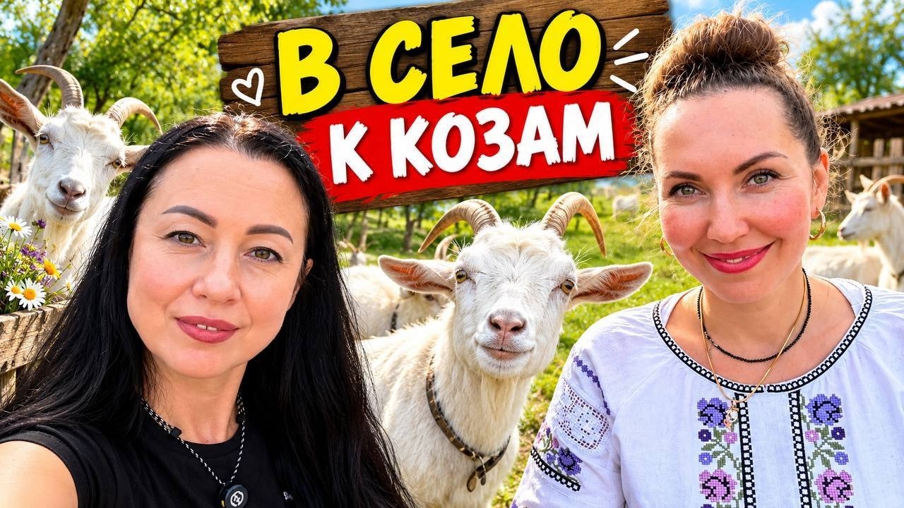ОТКУДА в ЗАПОРОЖЬЕ козий сыр? ЕДЕМ ИСКАТЬ КОЗ 🐐