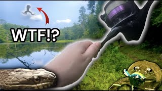 Top Water Fishing (Bizarre catches on a FROG!)