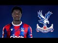 Naouirou Ahamada - Welcome to Crystal Palace? | Best Skills & Goals | 2023 HD