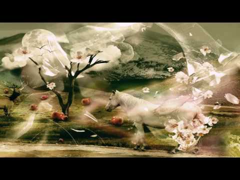 TOM GEIGER - CAN ONE DAY CHANGE YOUR LIFE