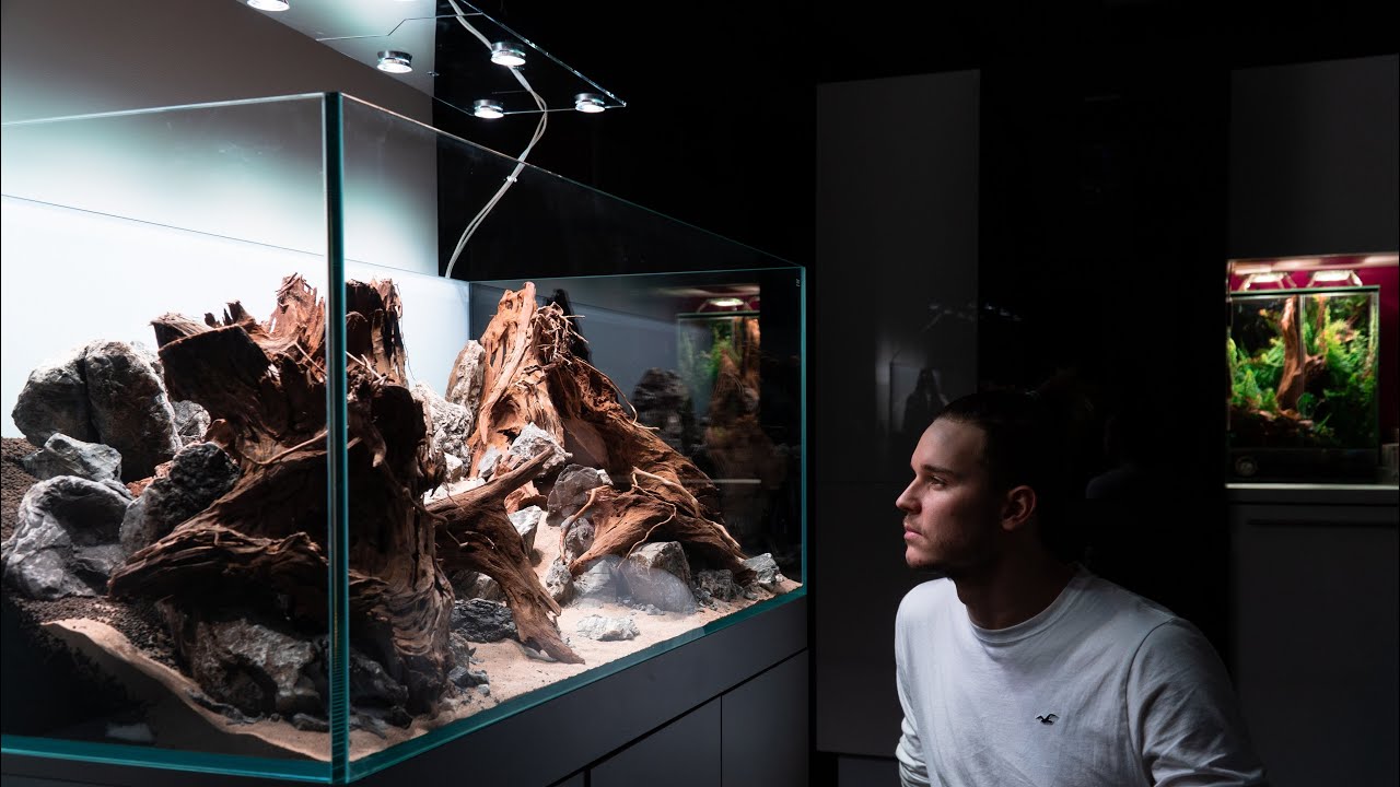 JAK ZAŁOŻYĆ AKWARIUM KONKURSOWE - MOJA NAJLEPSZA ARANŻACJA!